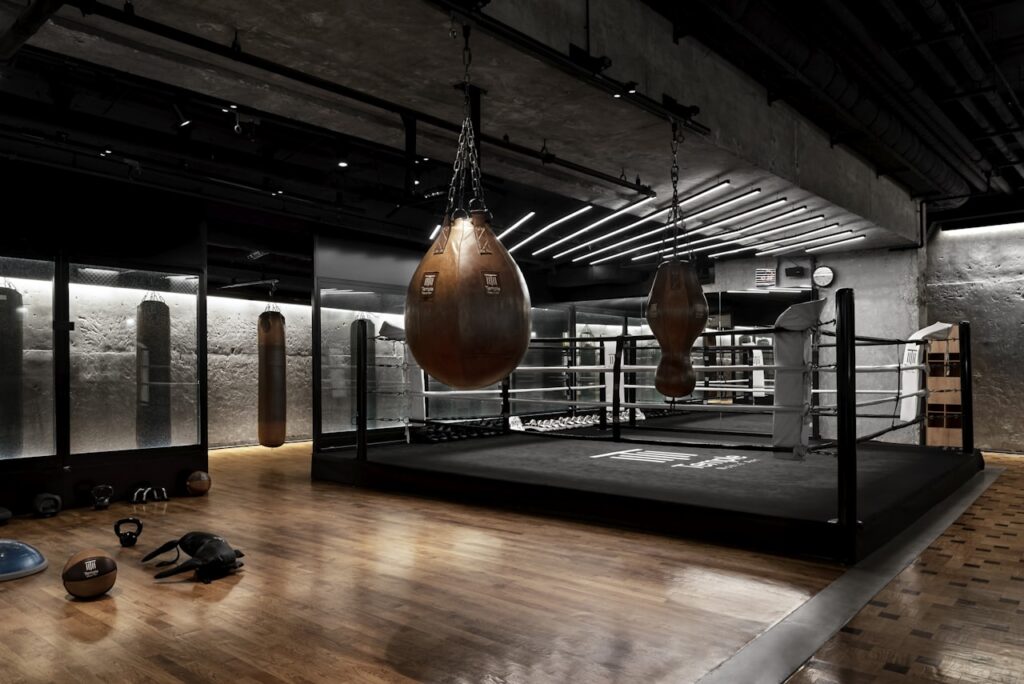 mma ring