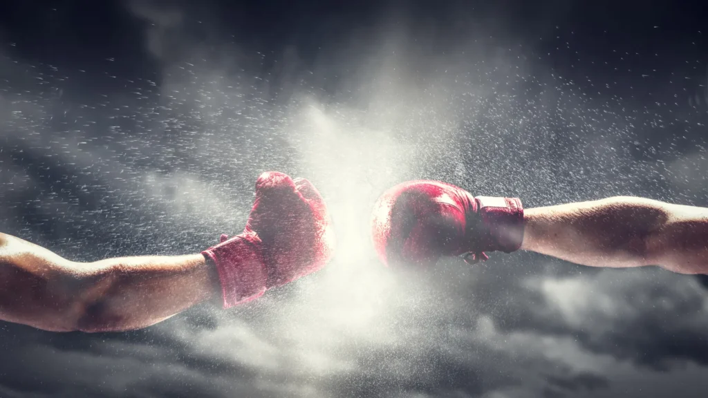 fight shop